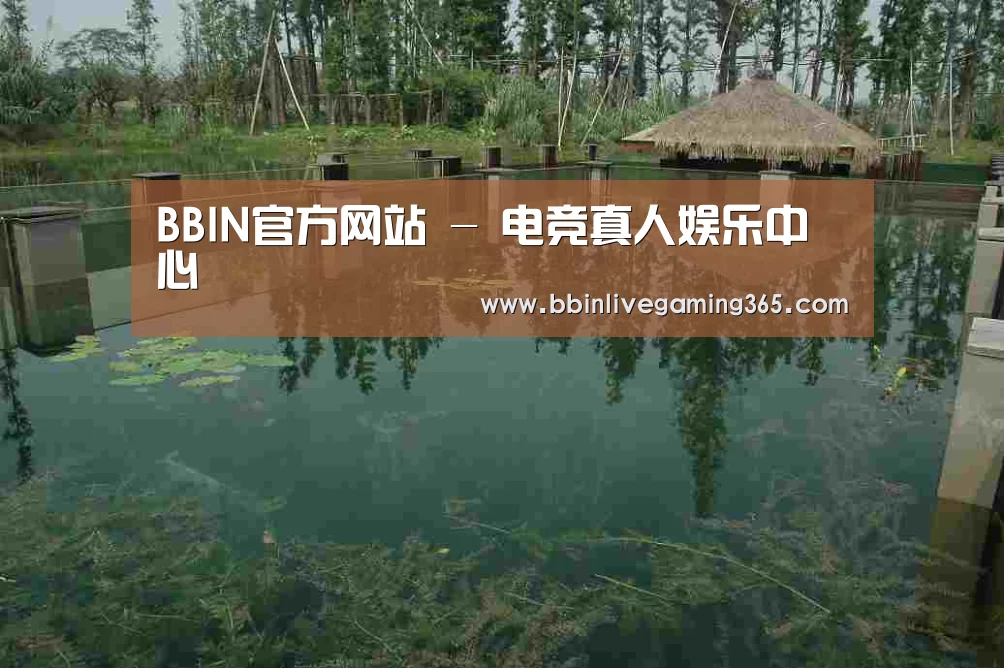 案例展示二(图1)