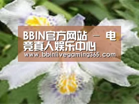 产品名称二