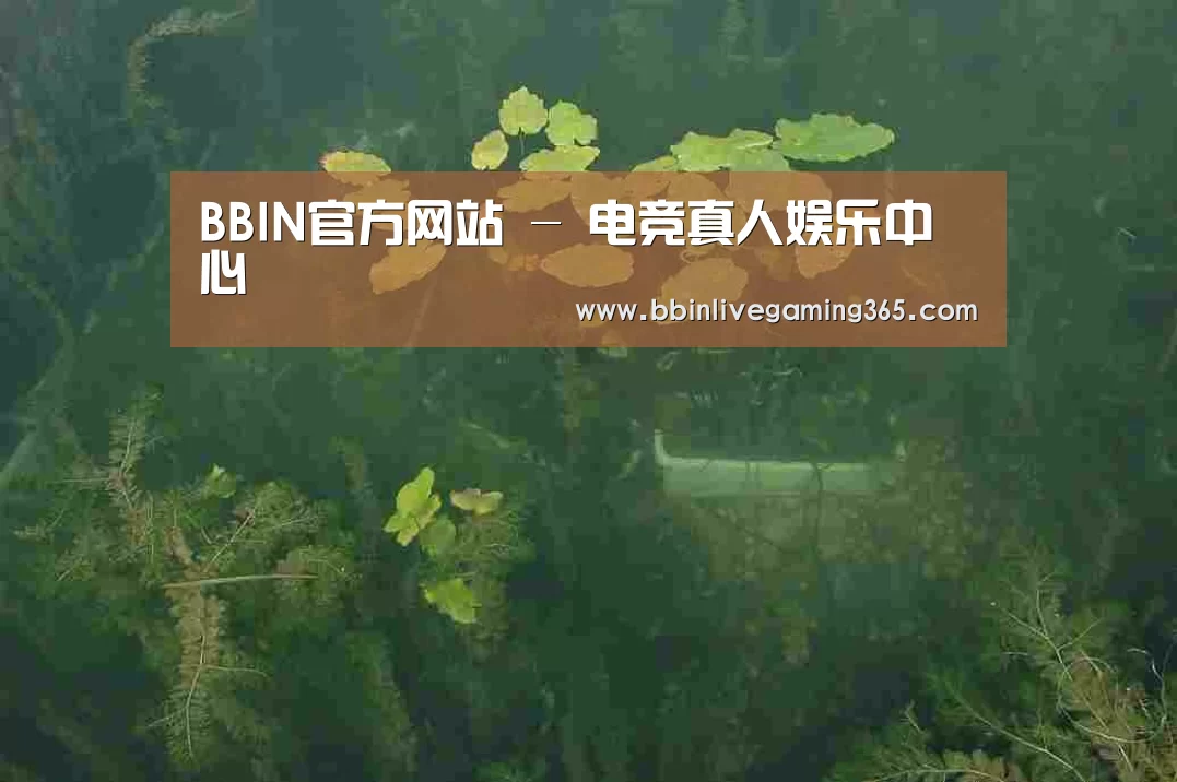 案例展示三