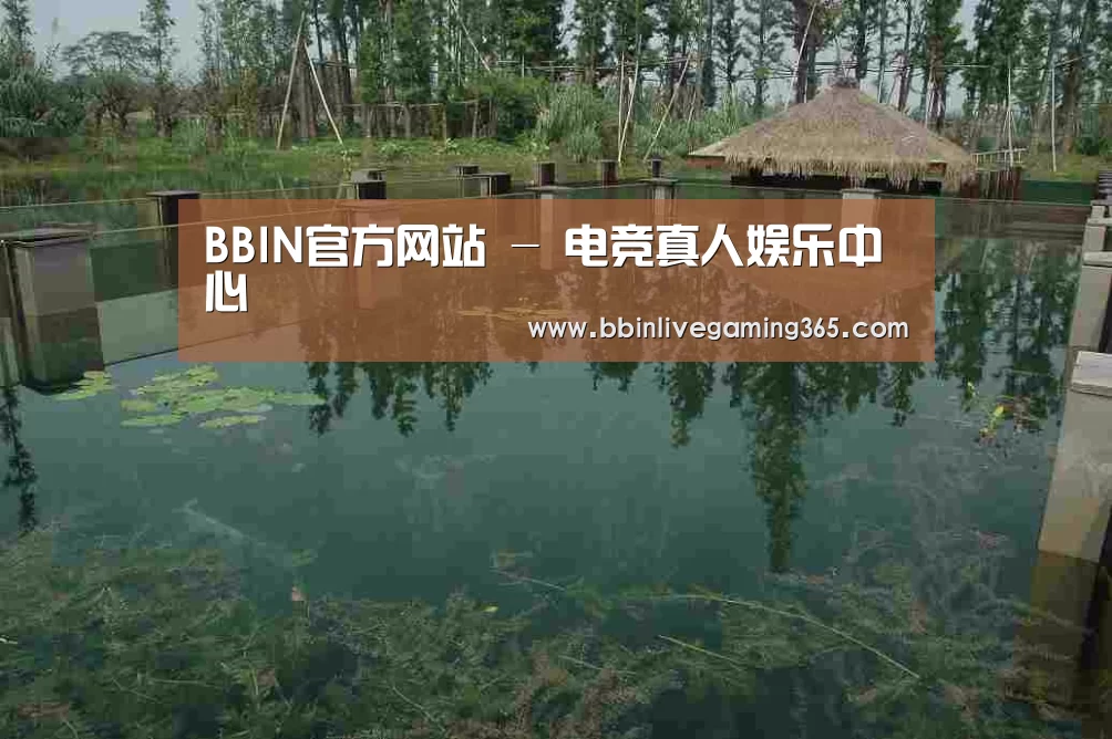 案例展示二