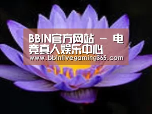 产品名称六