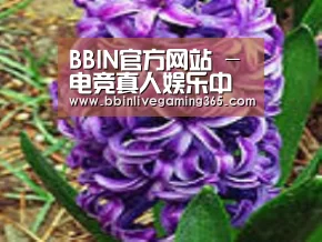 产品名称八