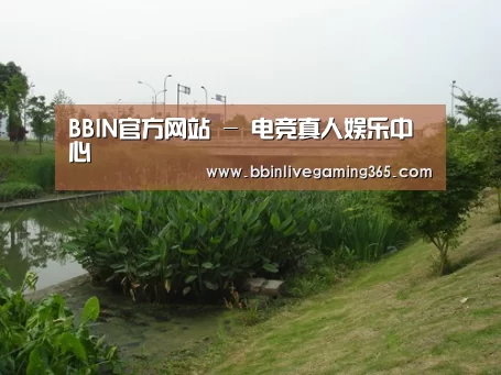 案例展示四
