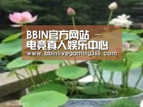 产品名称一