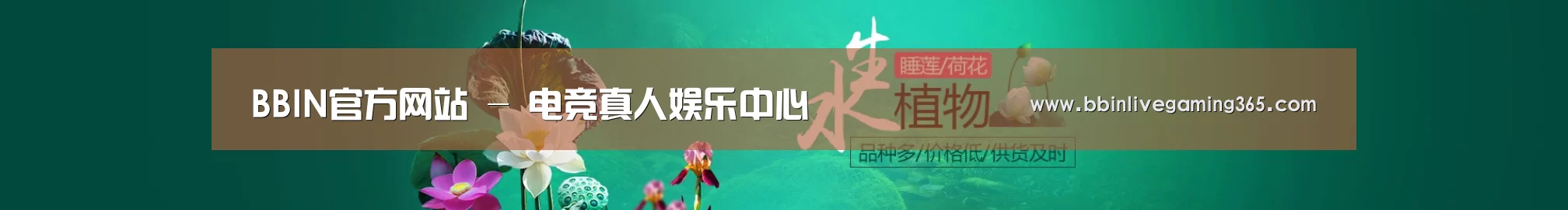 鲜花水草花卉网站模板