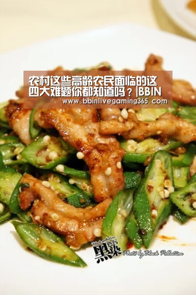 农村这些高龄农民面临的这四大难题你都知道吗?|BBIN篮球(图4) BBIN下载