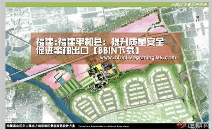 福建:福建平和县:提升质量安全 促进蜜柚出口【BBIN下载】(图3) BBIN篮球