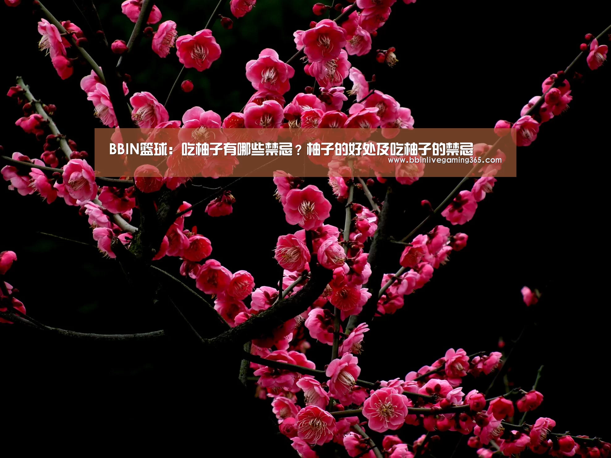 BBIN篮球:吃柚子有哪些禁忌?柚子的好处及吃柚子的禁忌