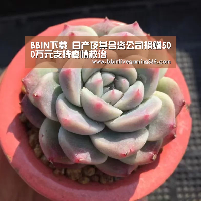 BBIN篮球