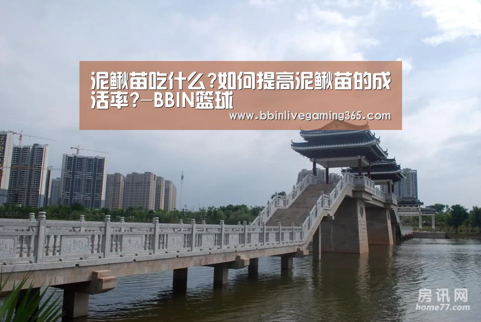 泥鳅苗吃什么?如何提高泥鳅苗的成活率?-BBIN篮球(图2) BBIN赛事