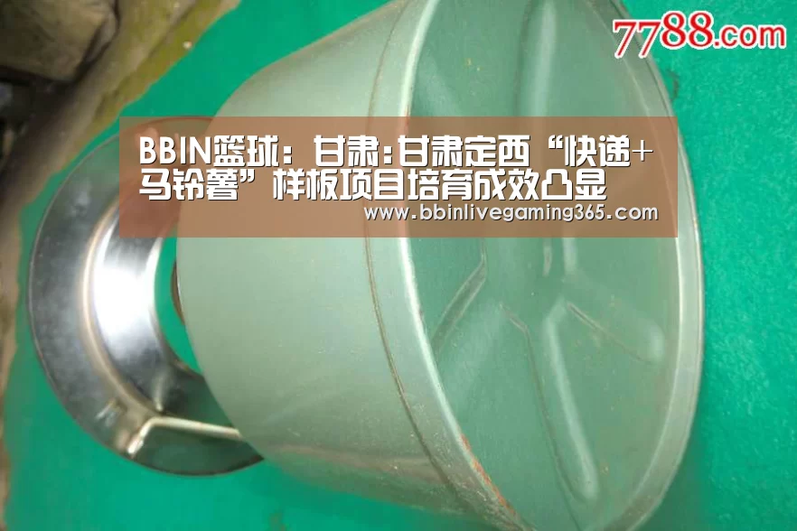 BBIN百家乐