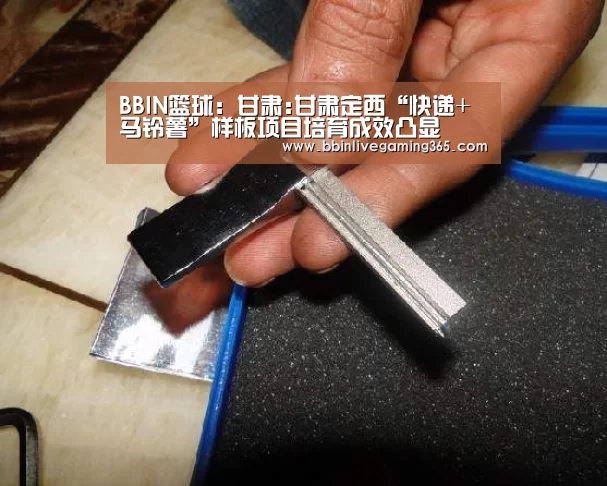 BBIN百家乐