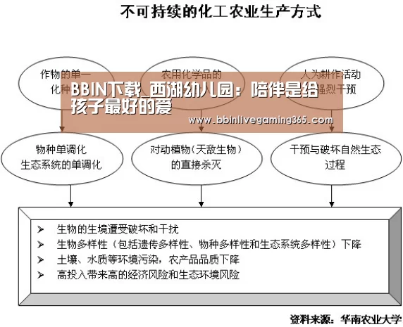 BBIN篮球