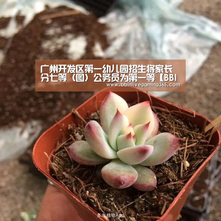 广州开发区第一幼儿园招生将家长分七等(图)公务员为第一等【BBIN下载】(图1) BBIN篮球