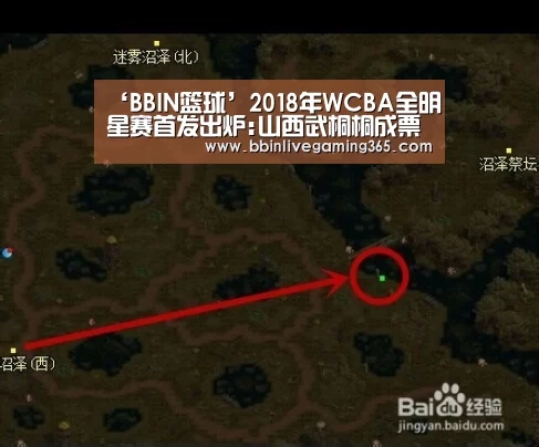 ‘BBIN篮球’2018年WCBA全明星赛首发出炉:山西武桐桐成票王 邵婷领衔北区(图1) BBIN下载