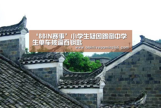 ‘BBIN赛事’小学生疑因踢倒中学生单车被逼吞钥匙(图3) BBIN篮球