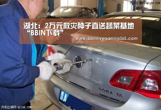 湖北:2万元救灾种子直送蔬菜基地“BBIN下载”(图3) BBIN篮球
